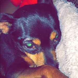 Meet your Posher, Ely